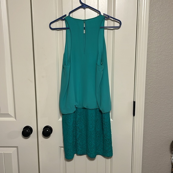 2 for $15! Naked Zebra Dress - Picture 5 of 6